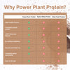 Power Plant Protein (Coffee Mocha) for Men - Dame Health