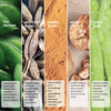 Power Plant Protein (Coffee Mocha) for Men - Dame Health