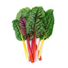 Rainbow Swiss Chard - Fresh