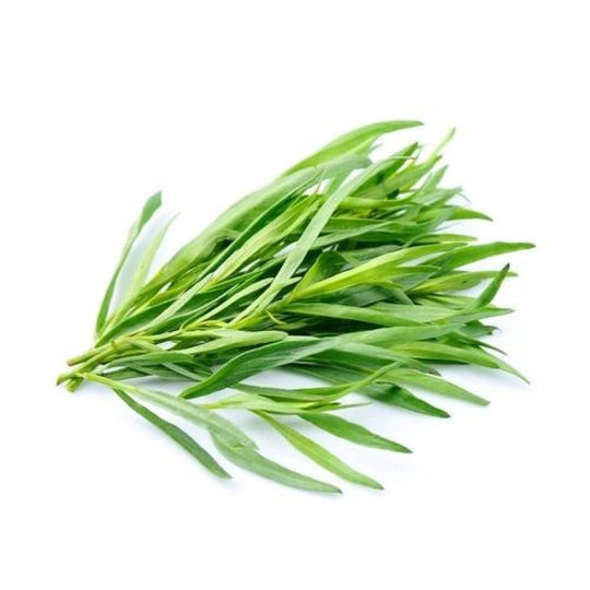 Tarragon - Fresh