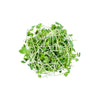 Turnip Microgreens - Fresh Aisle