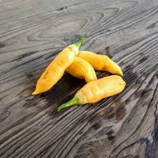 Yellow Sugar Pepper - Fresh