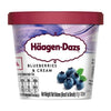 Blueberry - Haagen-Dazs