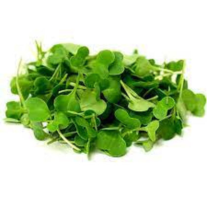 Fresh Aisle - Kale Microgreens