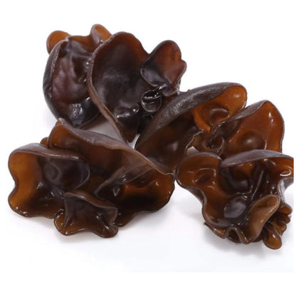 Fresh Black Fungus Mushroom