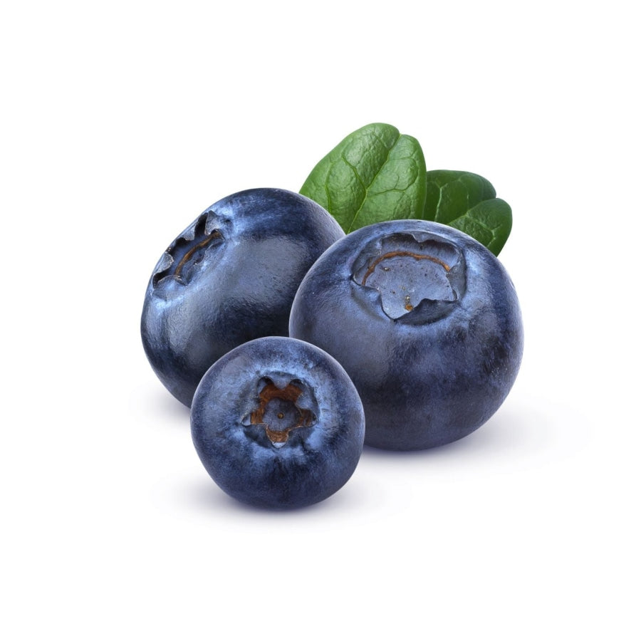 Blueberry fruit discount