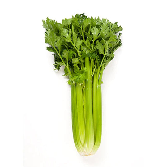 Fresh Celery