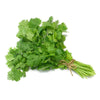 Fresh Coriander