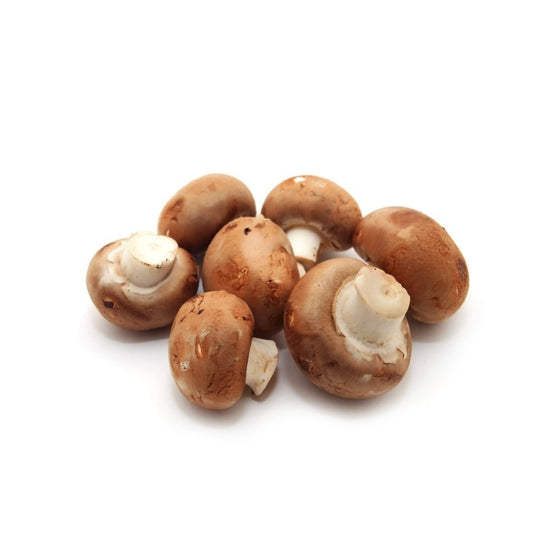 Fresh Cremini Mushroom