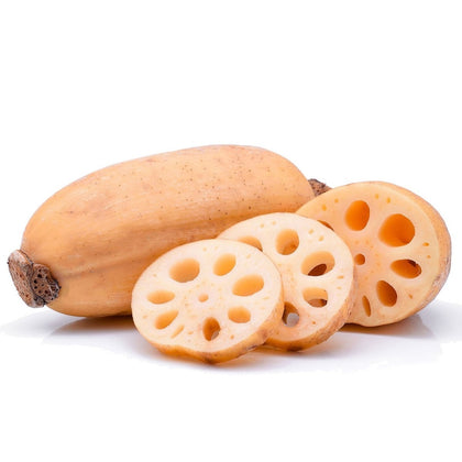 Fresh Jumbo Lotus Stem