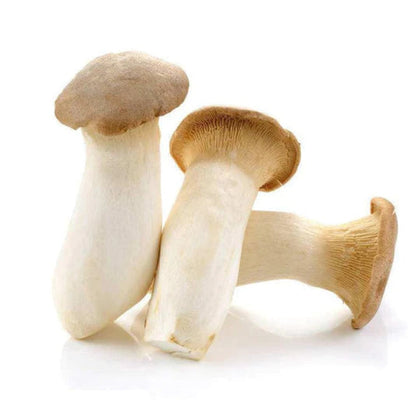 Fresh King Oyster Mushroom (Thai)