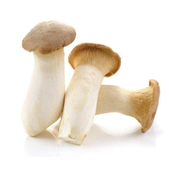 Fresh King Oyster Mushroom (Thai)