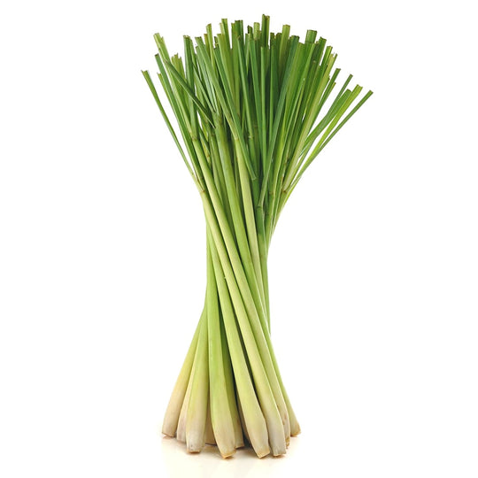 Fresh Lemon Grass