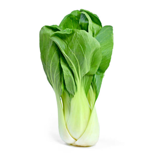 Fresh Pakchoi