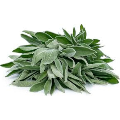 Fresh Sage
