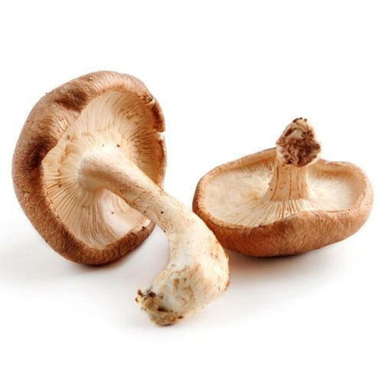 Fresh Shiitake Mushroom