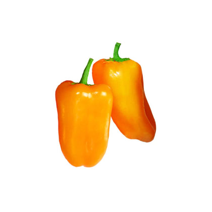 Fresh Snacky Pepper Orange