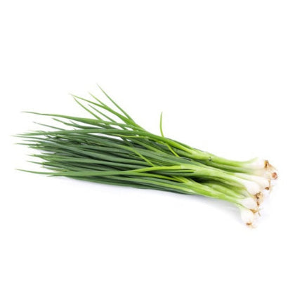 Fresh Spring Onion