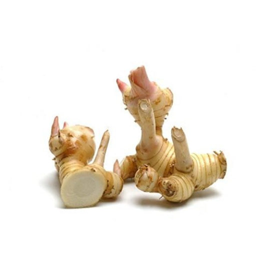 Fresh Thai Ginger (Galangal)