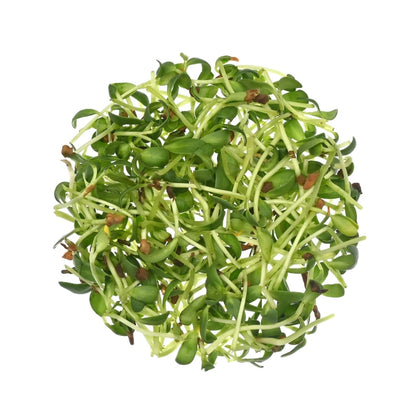 Methi Microgreens - Fresh Aisle