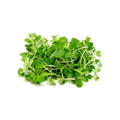 Pakchoi Microgreens - Fresh Aisle