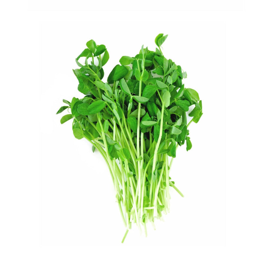 Peas Microgreens - Fresh Aisle