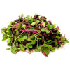 Radish Mix Microgreens - Fresh Aisle