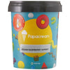 Raspberry Sorbet Ice Cream (Vegan) - Papacream