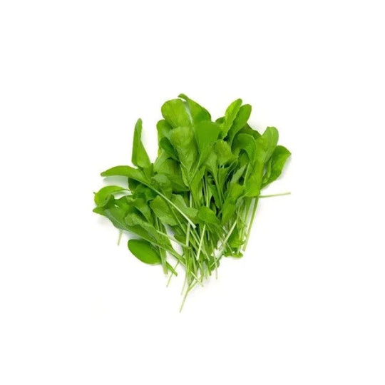 Spinach Microgreens - Fresh Aisle
