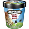 Vanilla Pecan Blondie - Ben & Jerry’s