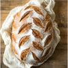 Whole Wheat Sourdough - Suchali’s Artisan Bakehouse